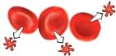 platelet rich plasma growth factors graphic